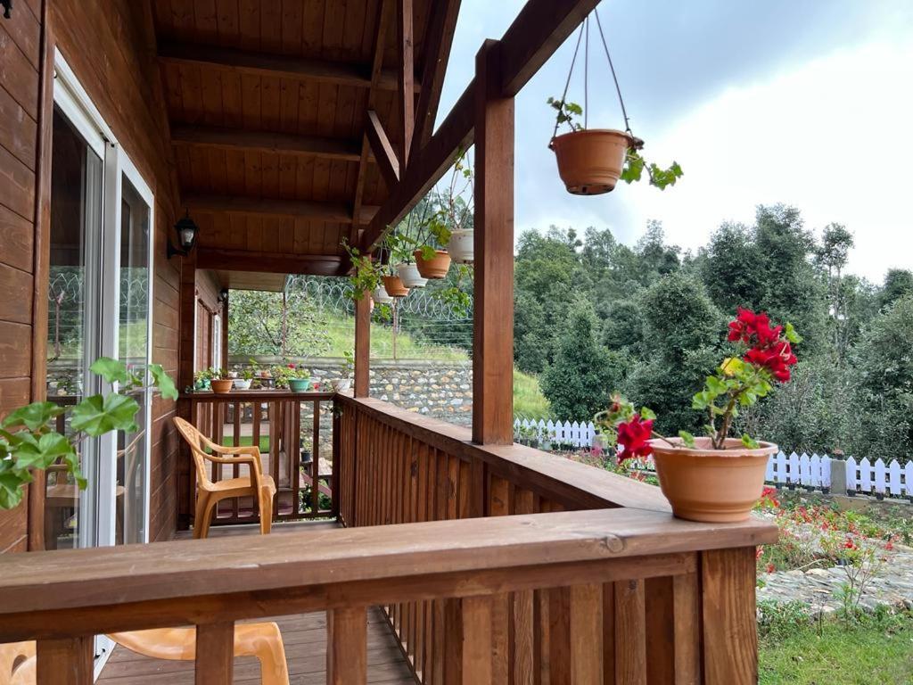 Vanprastha Resorts Dwarahat Εξωτερικό φωτογραφία