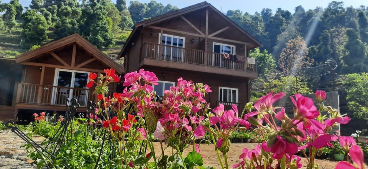 Vanprastha Resorts Dwarahat Εξωτερικό φωτογραφία